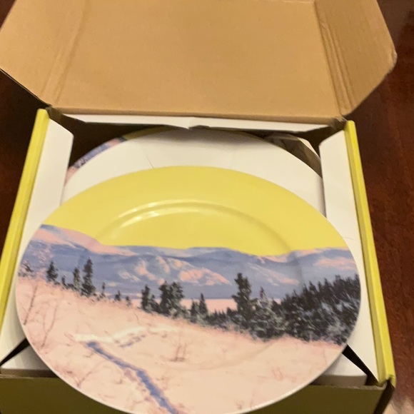 DRAKE GENERAL STORE YUKON DINNER PLATES SET OF 4 - Picture 8 of 8